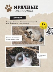 Grumpy Cat. Сердитая книга от самой сердитой кошки в мире - Фото 10