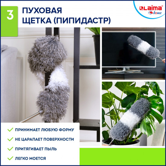 Пипидастр