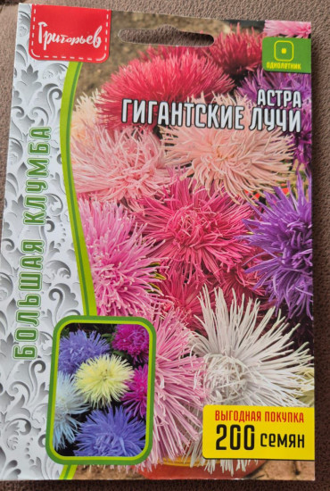 Семена астры игольчатой «Гигантские лучи»