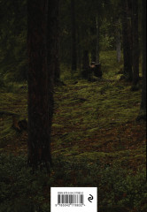 Блокнот «Rumie Nordur» - Фото 1