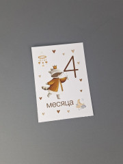 Набор карточек для фотосессии малыша по месяцам - Фото 1