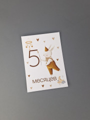 Набор карточек для фотосессии малыша по месяцам - Фото 2