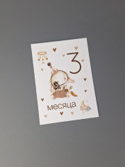 Набор карточек для фотосессии малыша по месяцам - Фото 4