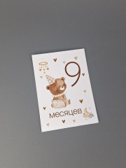 Набор карточек для фотосессии малыша по месяцам - Фото 6
