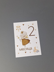 Набор карточек для фотосессии малыша по месяцам - Фото 13