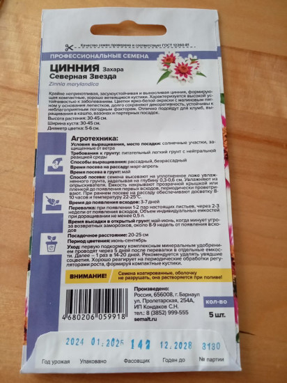 Цинния Захара «Северная звезда»