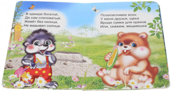 Загадки