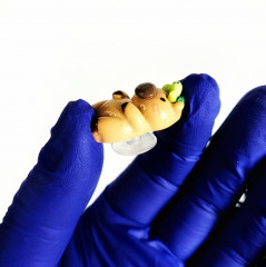 Аксессуары для обуви «Капибара» - Фото 4