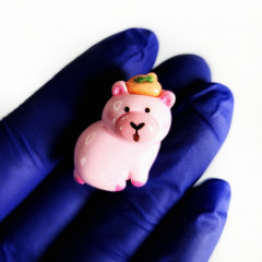 Аксессуары для обуви «Капибара» - Фото 5