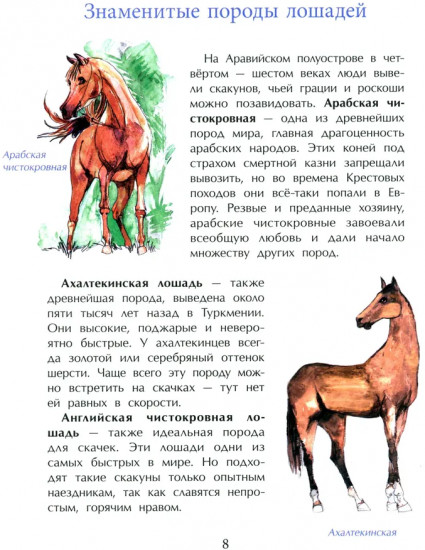 Кони. Дикие, благородные, знаменитые