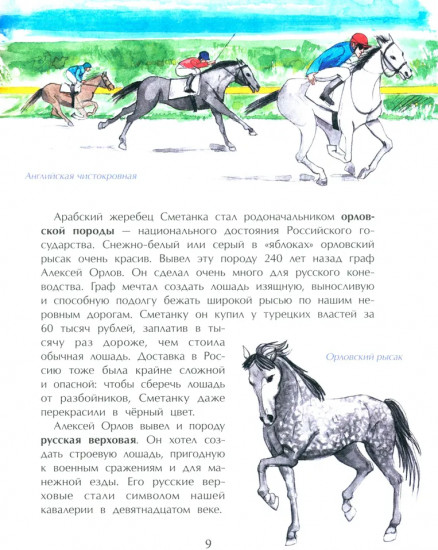 Кони. Дикие, благородные, знаменитые
