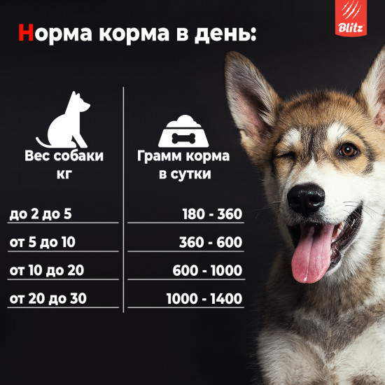 Корм влажный для собак при пищевой аллергии