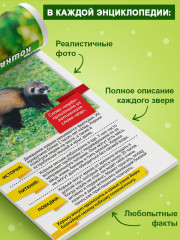 Мир животных. Набор мини-энциклопедий - Фото 2