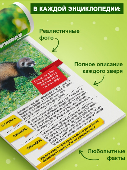 Мир животных. Набор мини-энциклопедий