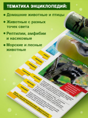 Мир животных. Набор мини-энциклопедий - Фото 3