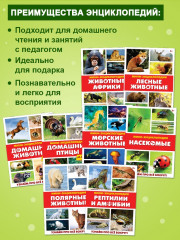 Мир животных. Набор мини-энциклопедий - Фото 4