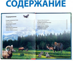 Животные. Энциклопедия детская - Фото 1