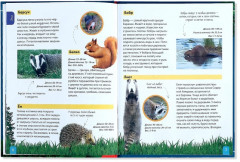 Животные. Энциклопедия детская - Фото 2