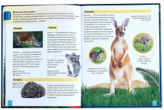 Животные. Энциклопедия детская - Фото 3