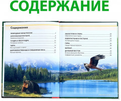Животные России. Энциклопедия детская - Фото 2