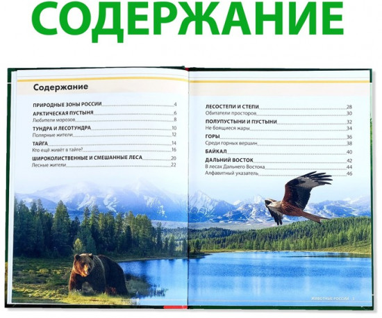 Животные России. Энциклопедия детская