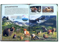 Животные России. Энциклопедия детская - Фото 4
