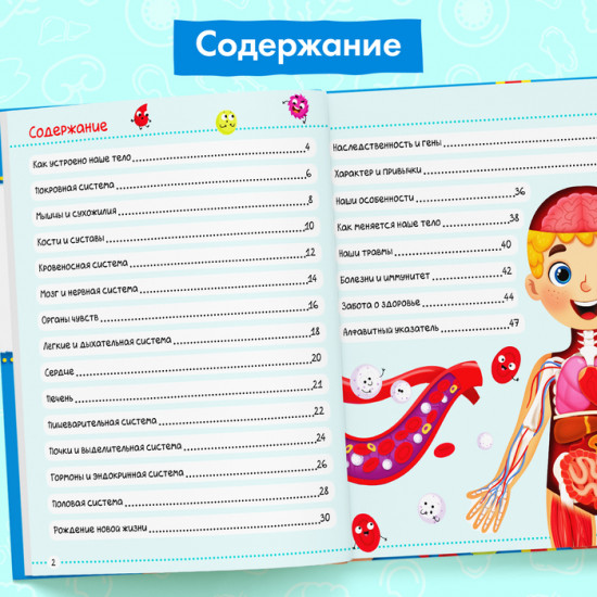 Тело человека. Энциклопедия
