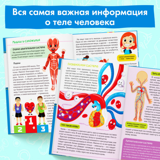 Тело человека. Энциклопедия