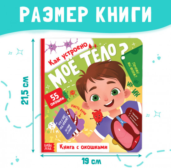 Как устроено моё тело? Книга с окошками
