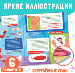 Как устроено моё тело? Книга с окошками - Фото 4