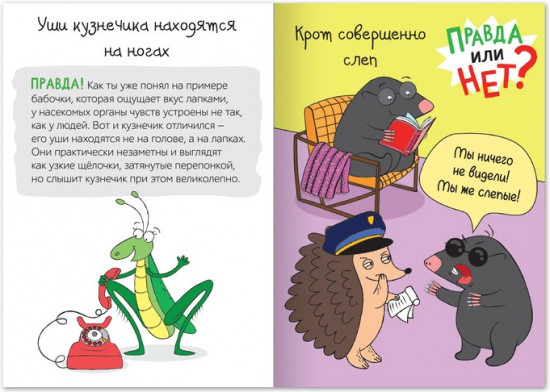 Правда или нет? Мир животных