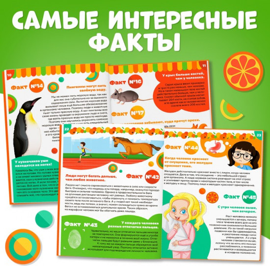 100 фактов о мире вокруг. Чебурашка
