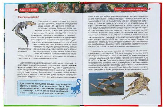 Детская энциклопедия «Красная книга»