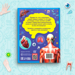 200 фактов о теле человека - Фото 4