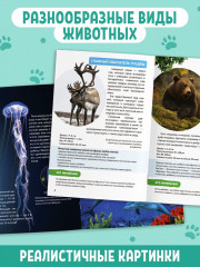 Мир животных. Мини-энциклопедии - Фото 2