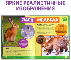 В мире животных. Фото-энциклопедия для детей - Фото 3