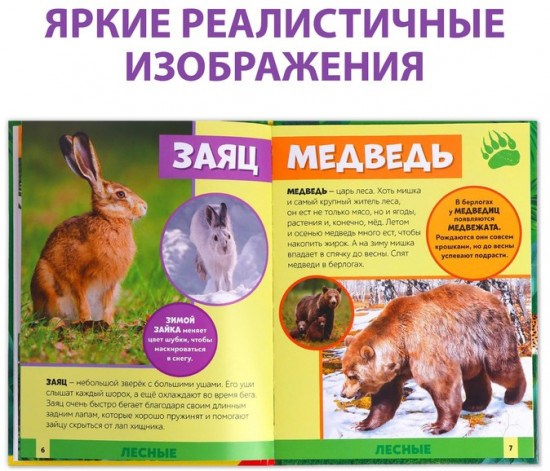В мире животных. Фото-энциклопедия для детей