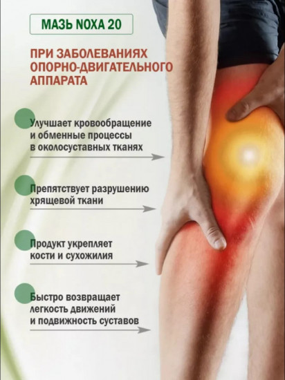 Мазь для обезболивания при суставных заболеваниях «Noxa»