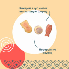 Лакомство для кошек «Снеки с тунцом Кацуобуси, куриным бульоном и кальмаром» - Фото 3