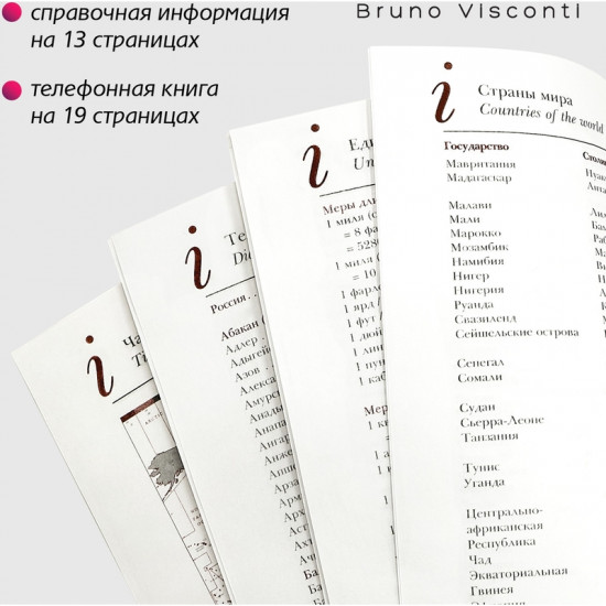 Ежедневник недатированный