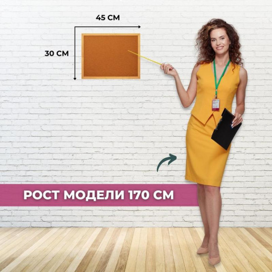 Доска пробковая «Economy»