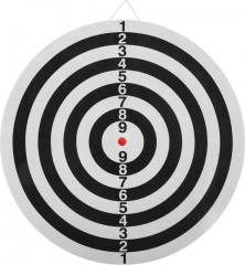 Дартс - Фото 4