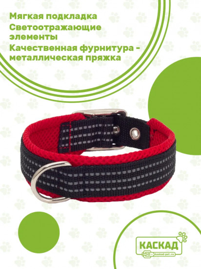Ошейник нейлоновый с мягкой подкладкой