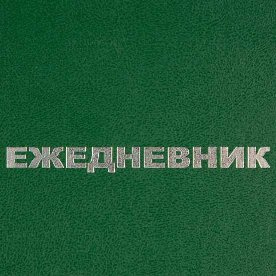 Ежедневник недатированный