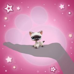 Игровой набор «Груминг спа» - Фото 3