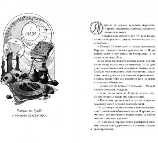 Хозяйка магической лавки. Книга 2