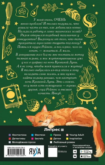 Хозяйка магической лавки. Книга 2