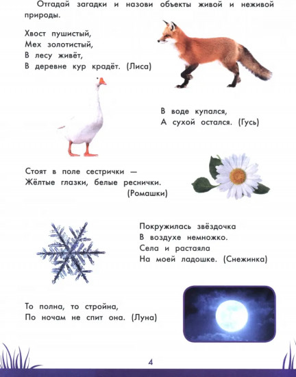 Книга знаний дошкольника. 5-6 лет. Окружающий мир и многое другое