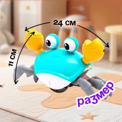 Каталка музыкальная «Краб» - Фото 1