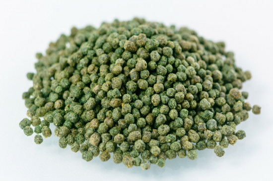 Корм для тропических рыб «Spirulina»